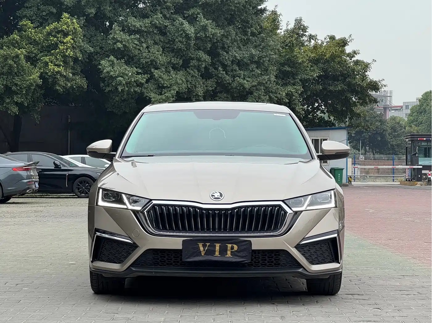Škoda Octavia 2022 PRO TSI280 Premium Edition фото 2
