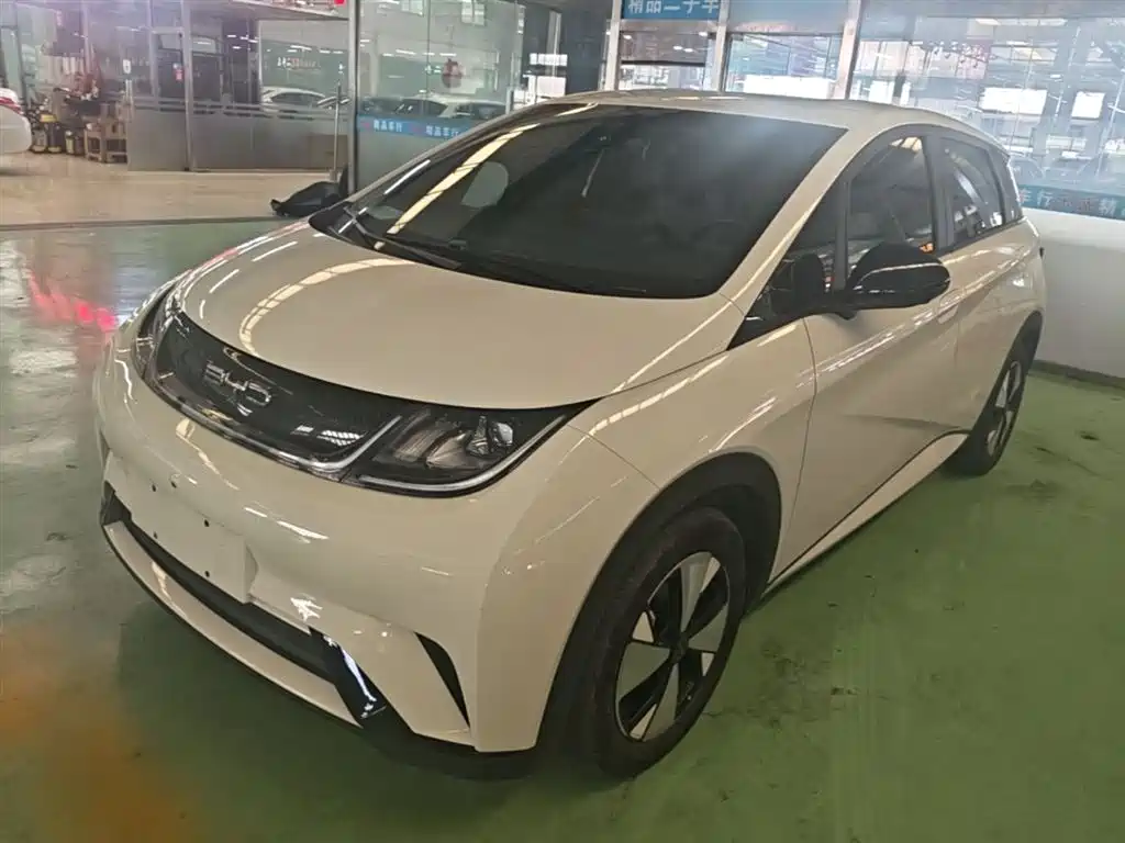 BYD Dolphin 2023 420km Freedom Edition