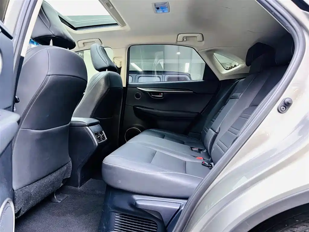 Lexus NX 2018 Model 300 AWD Fengshang Edition фото 15