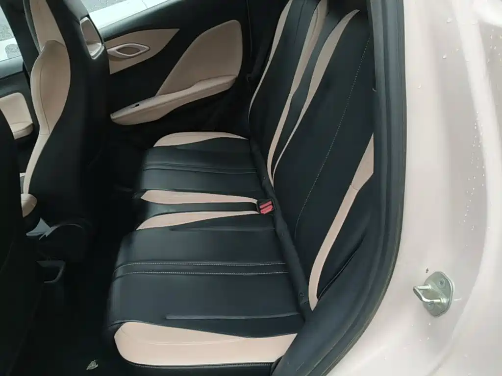 BYD Seagull 2026 2025 Smart Drive Edition 305km Freedom Version