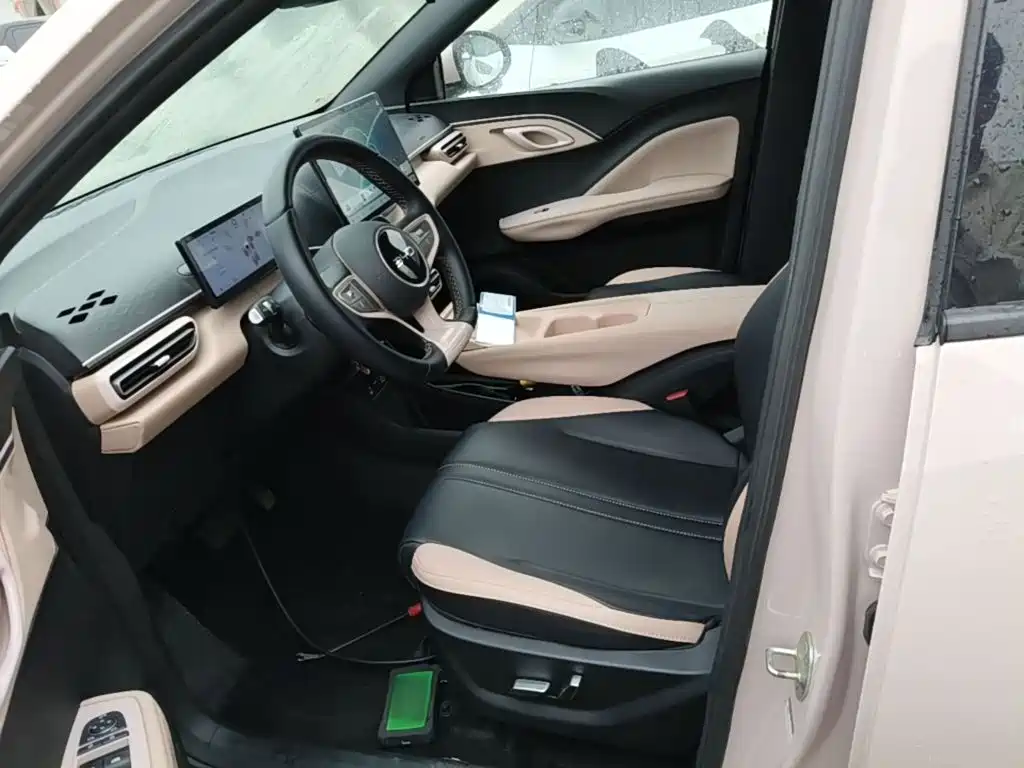 BYD Seagull 2026 2025 Smart Drive Edition 305km Freedom Version