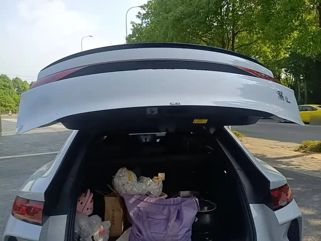 BYD Song L EV 2024 2024 662km Surpassing Type