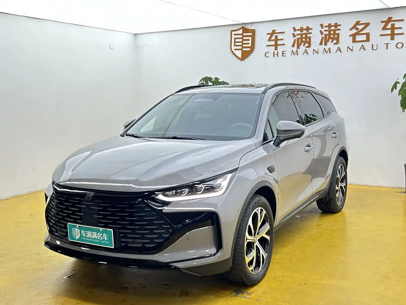 2025 BYD Tang New Energy