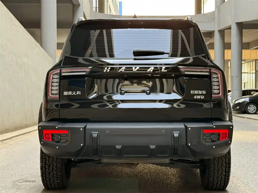 HAVAL BIG DOG