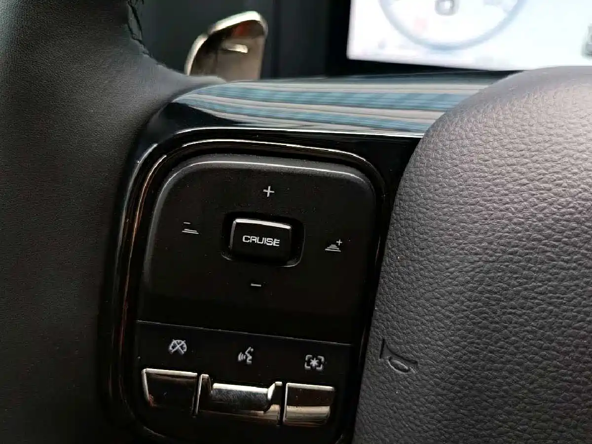 Haval H9 2024 2.0T Gasoline AWD Extreme Edition фото 25