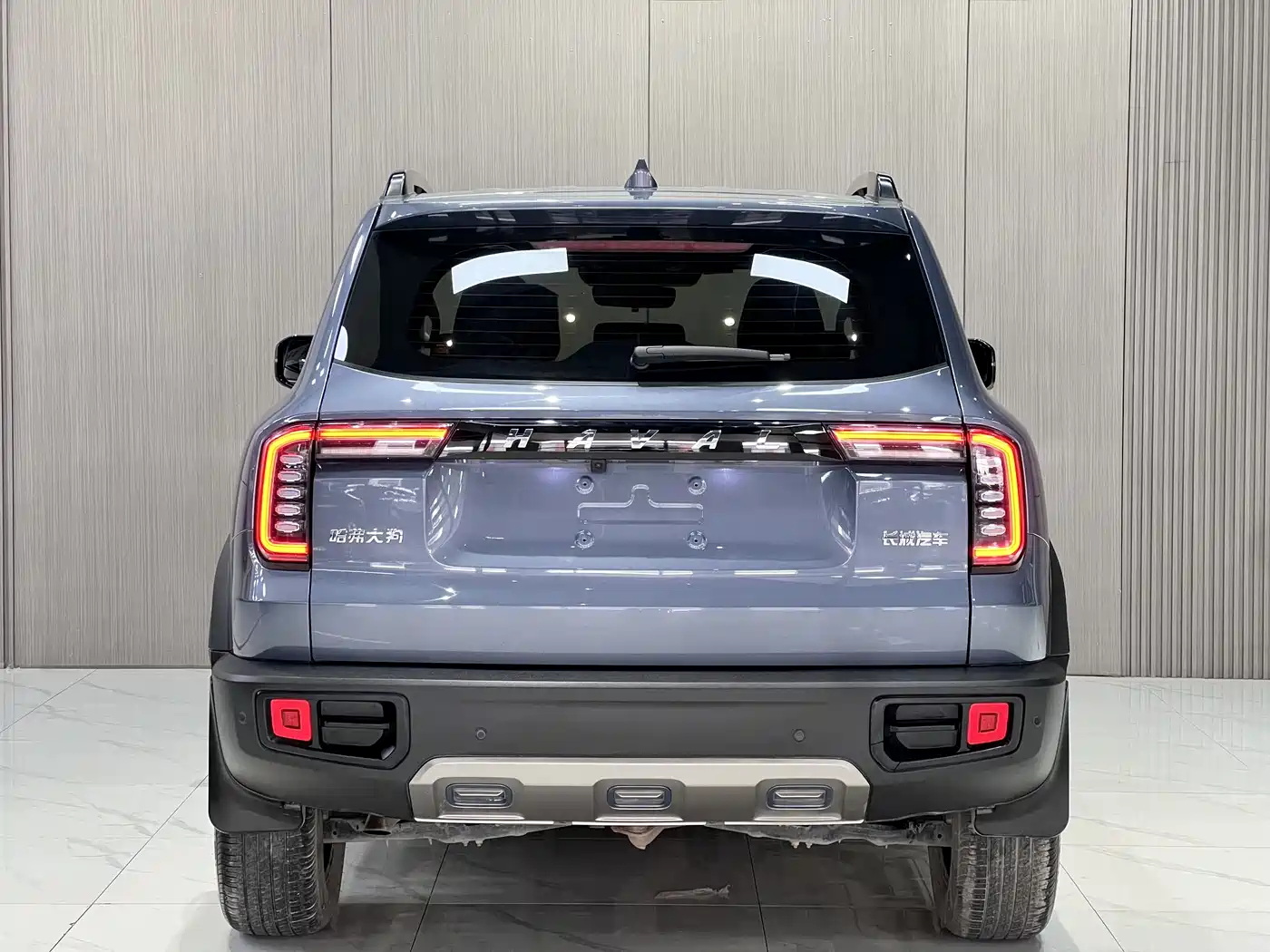 Haval Big Dog 2021 1.5T DCT 2WD Border Collie Edition фото 11