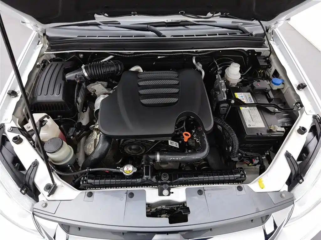 GREAT WALL FENGJUN 5