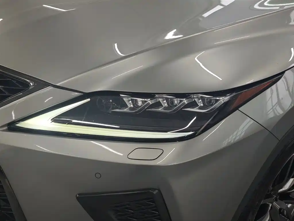Lexus RX 2020 300 AWD F SPORT (China VI) фото 22