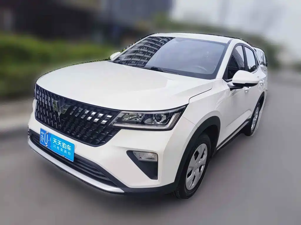 2024 Wuling Motors Wuling Xingchi