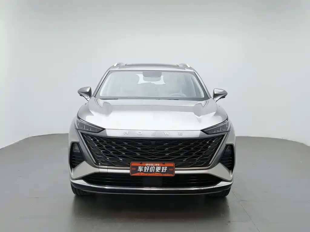 Roewe RX9 2024 2023 2.0T 2WD Premium Edition