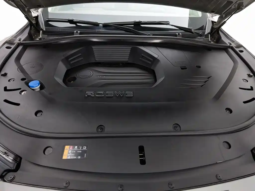 Roewe RX9 2024 2023 2.0T 2WD Premium Edition