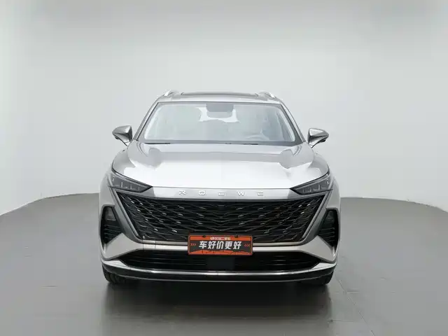 Roewe RX9 2023 2.0T 2WD Premium Edition — фото 3