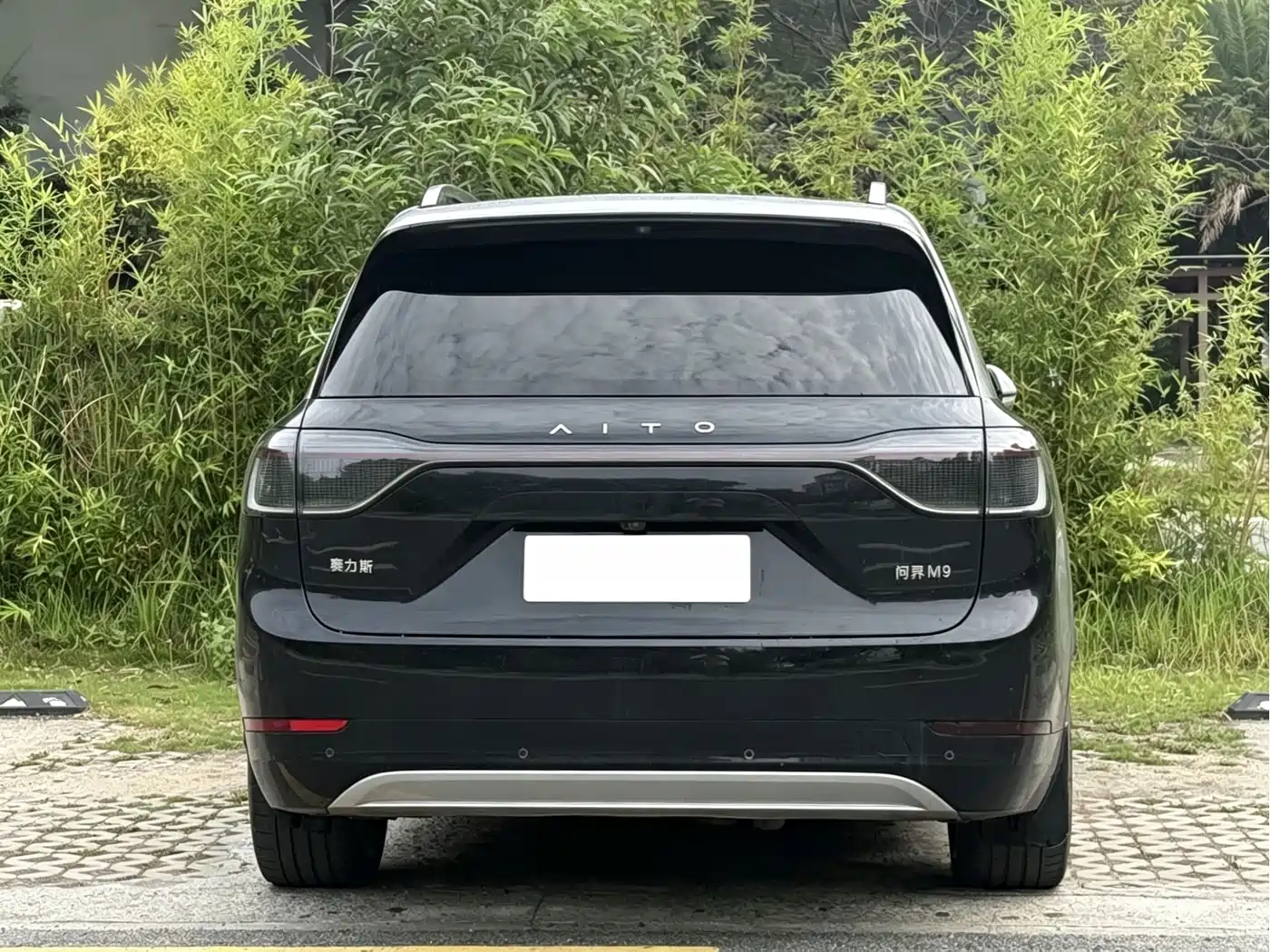 AITO Wenjie AITO M9 2024 Extended Range Ultra 42kWh 6-Seater фото 5