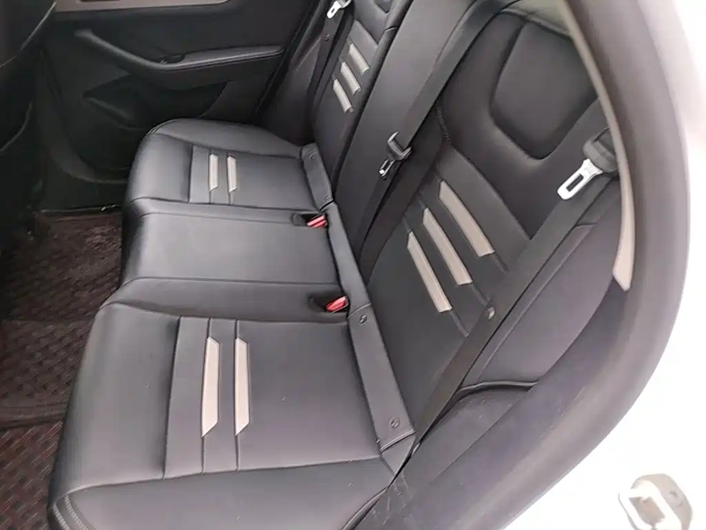 BYD Qin Pro 2021 2020 Surpass Edition 1.5TI Automatic Premium
