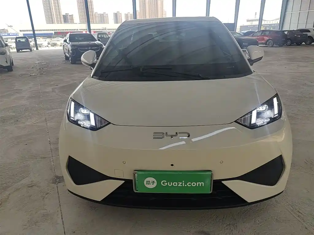 BYD Seagull 2025 Smart Drive Edition 305km Freedom Version фото 3
