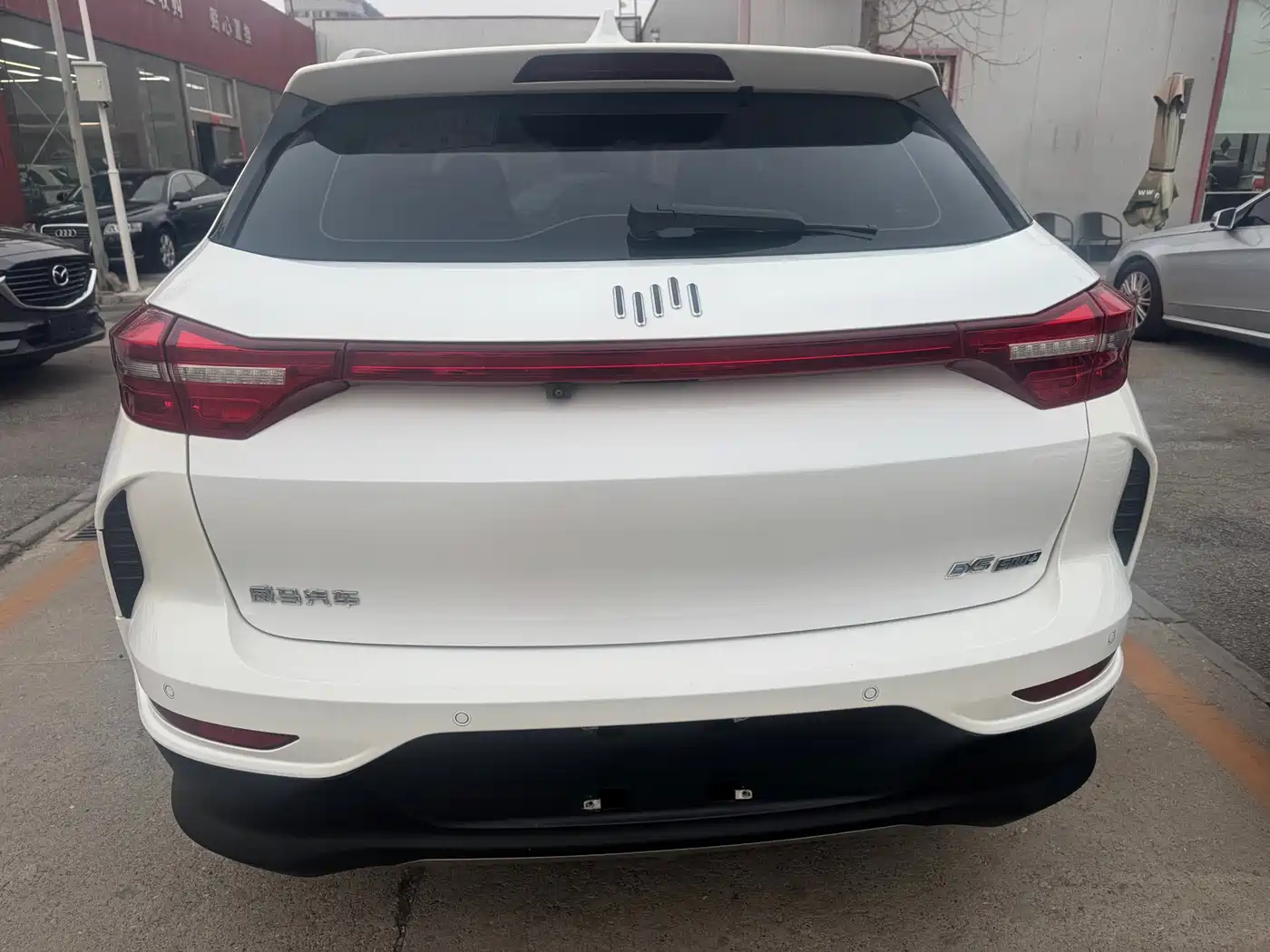 Weltmeister WEIMA EX5