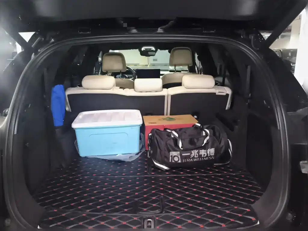 Denza X 2021 2020 Model PHEV Flagship Edition
