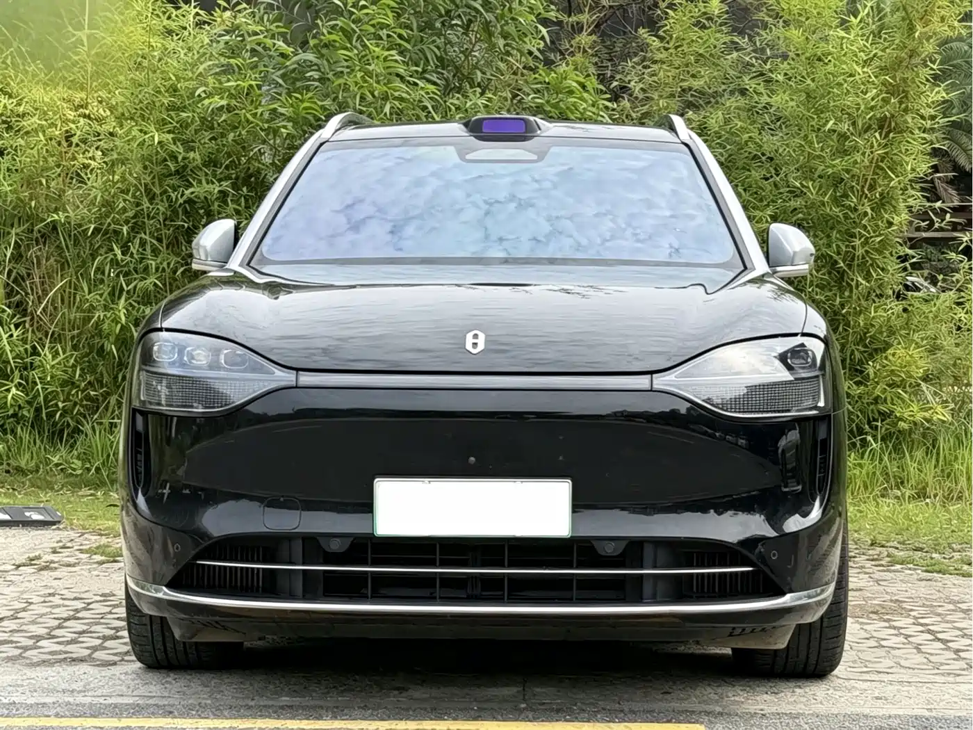 AITO Wenjie AITO M9 2024 Extended Range Ultra 42kWh 6-Seater фото 2