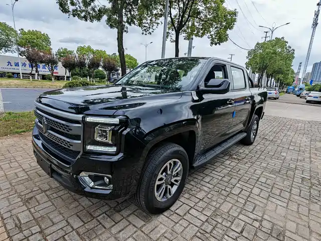 Jiangling Dadao 2024 All-Rounder 2.3T Diesel Automatic 2WD Standard Wheelbase Comfort