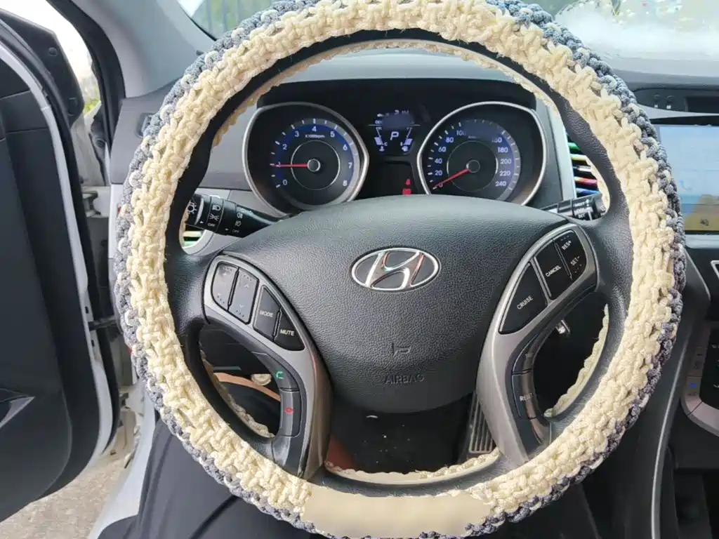صورة 11 - Hyundai Langdong