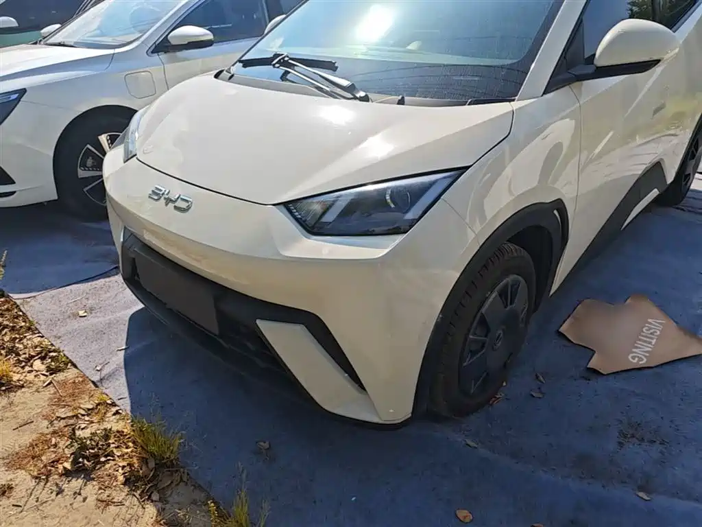BYD Seagull 2024 Glory Edition 305km Vitality Edition фото 24