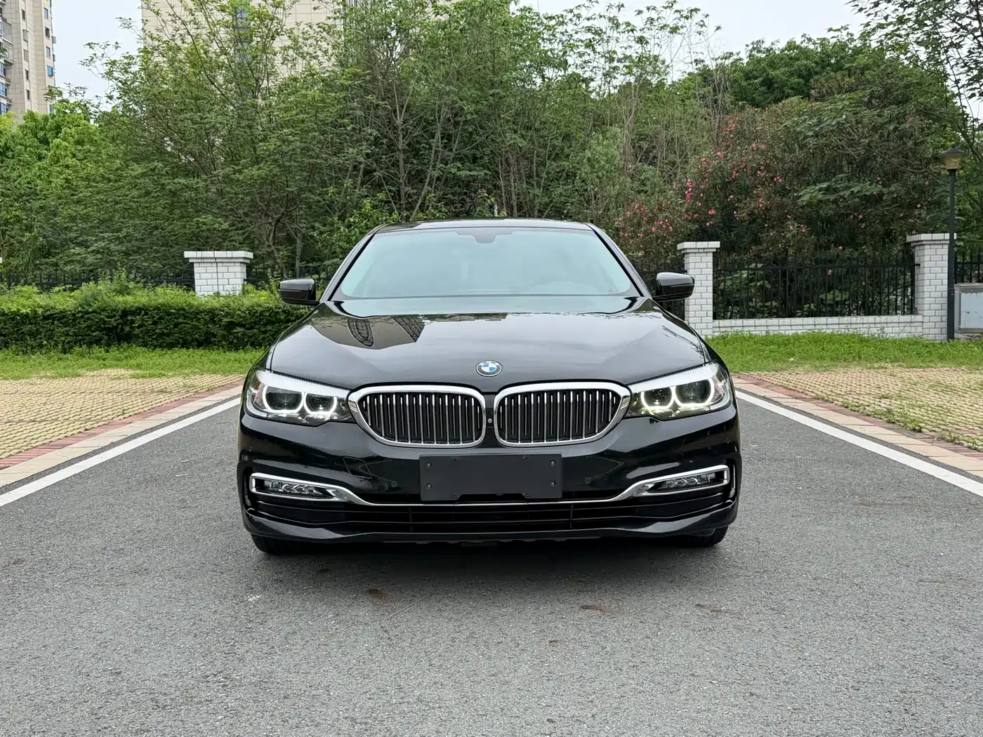 BMW 5 Series 2018 525Li Luxury Package фото 2
