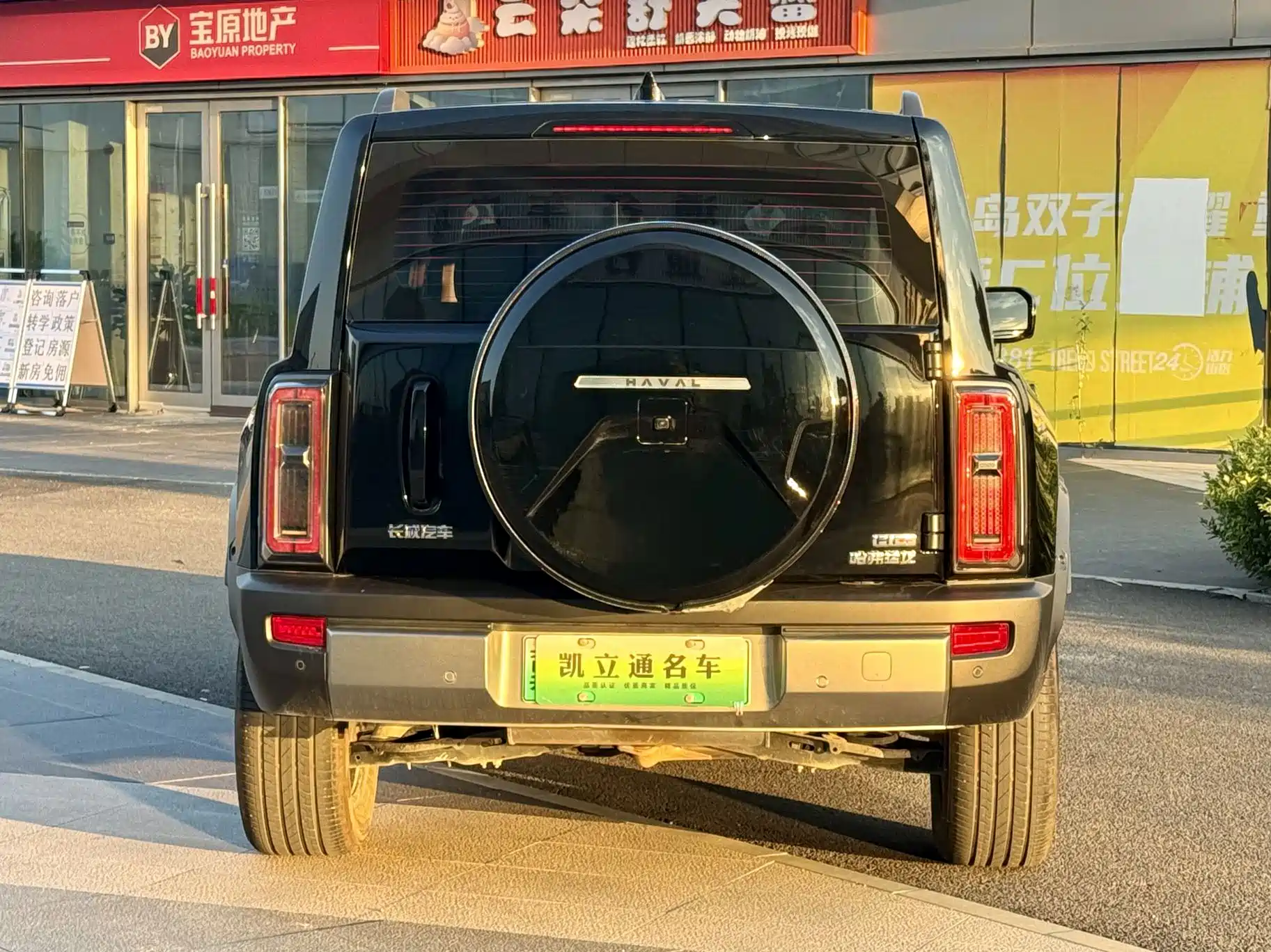 Фото 3 - Haval Raptor