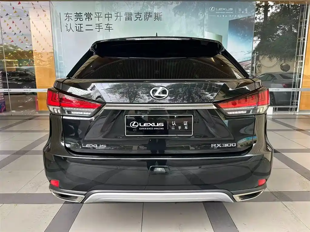 Lexus RX 2020 300 AWD Elegance Edition China V фото 8