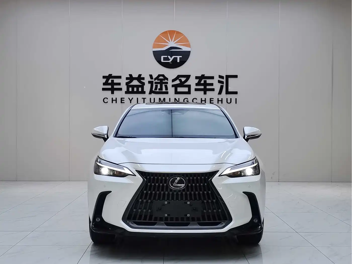 Lexus NX 2023 260 FWD Joy Creation Edition фото 2