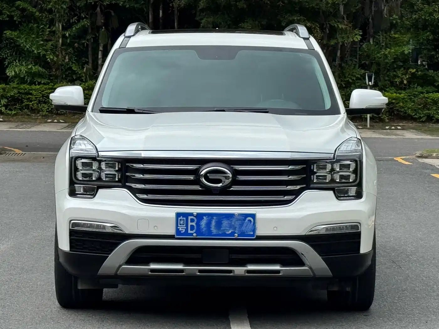 GAC Trumpchi Trumpchi GS8 2017 320T 2WD Luxury Smart Connect (7-seater) фото 2
