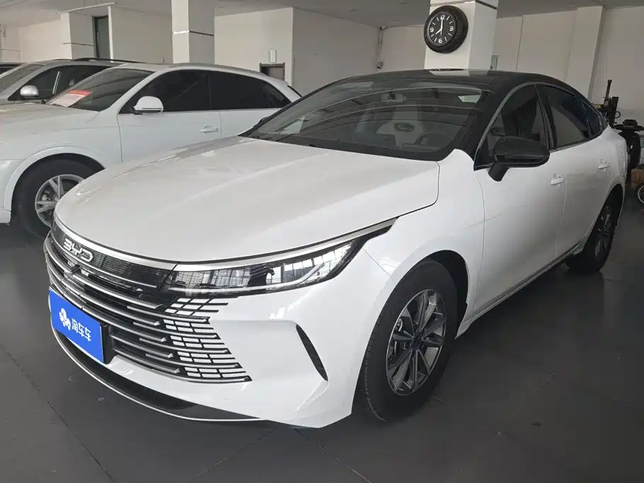 BYD Destroyer 05 2025 2024 Glory Edition DM-i 55KM Luxury