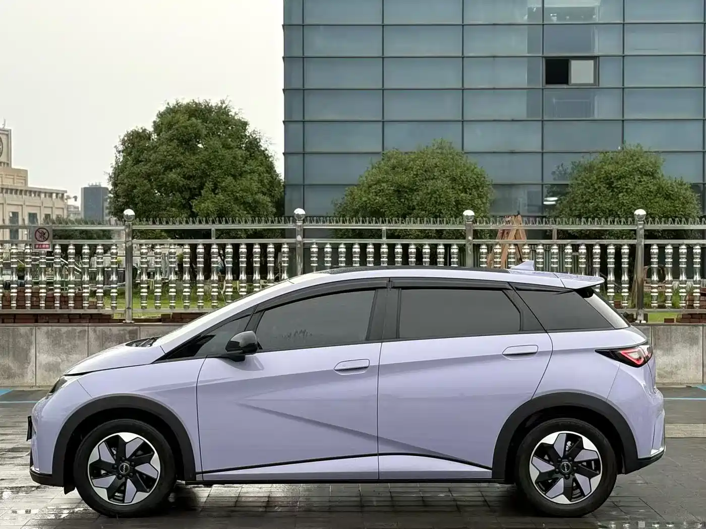 BYD Dolphin 2024 Glory Edition 420km Fashion Edition фото 3