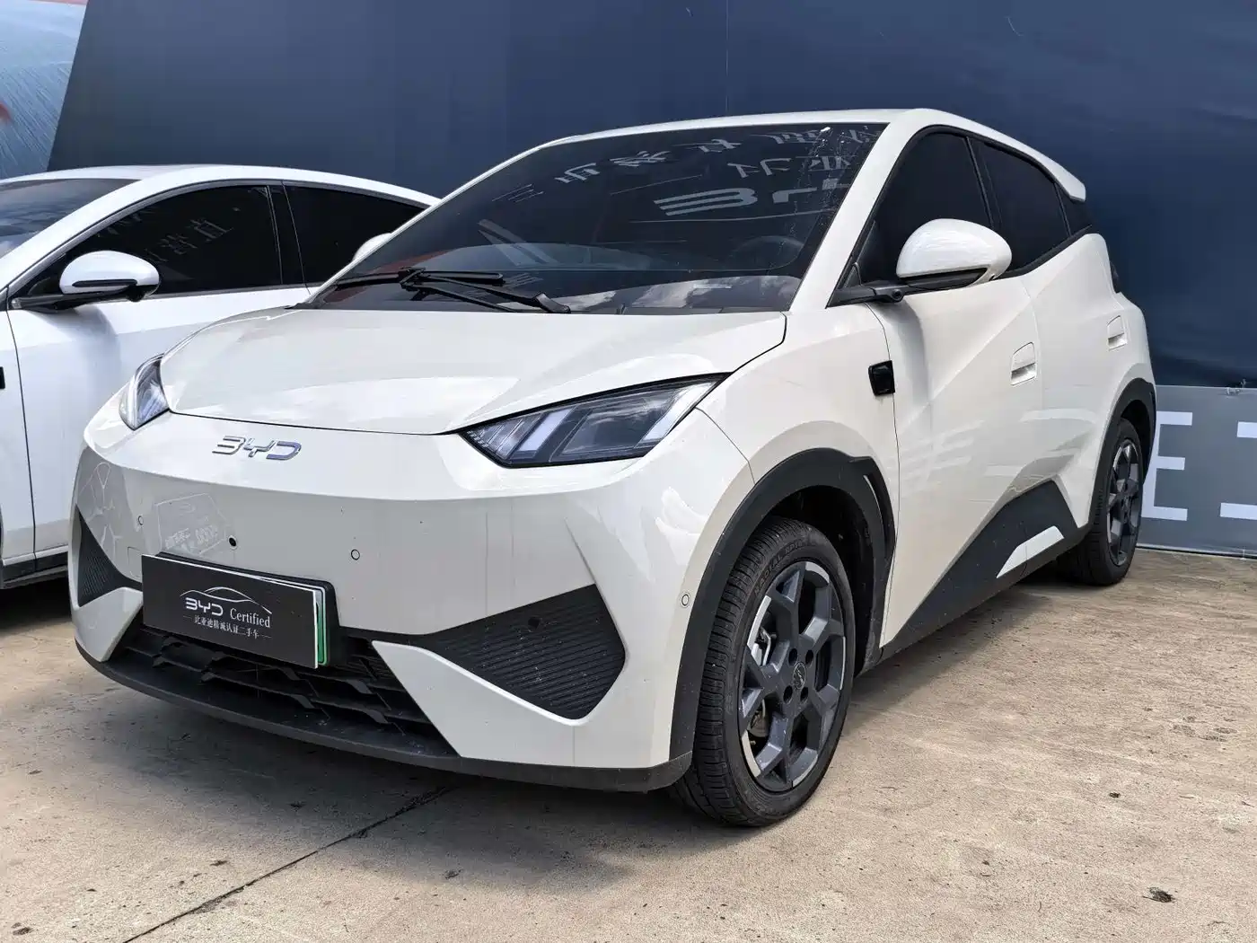 BYD Seagull 2025 Smart Drive Edition 305km Freedom Version