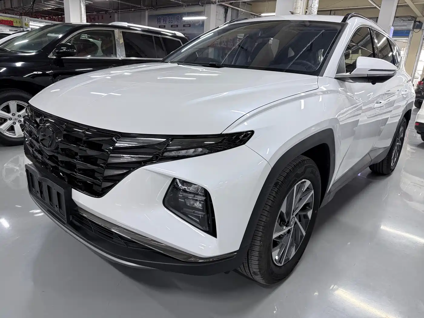 Hyundai Tucson 2023 Tucson L 1.5T Automatic 2WD GLX Elite Edition