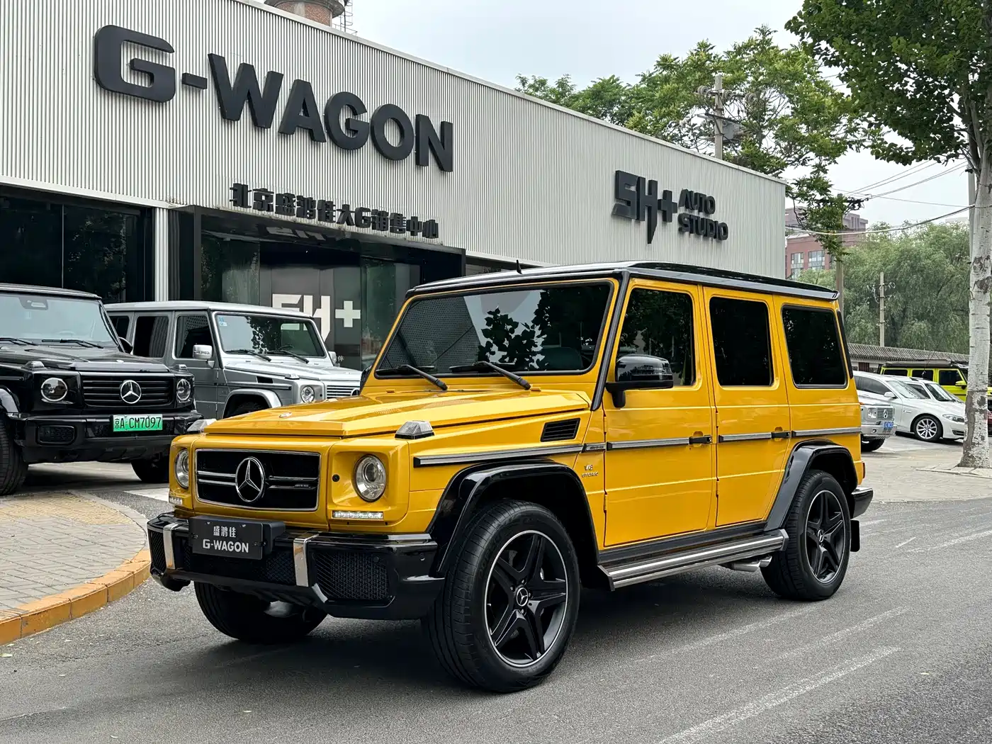 Mercedes-Benz Mercedes-Benz G-Class AMG 2015 AMG G 63 Off-Road Limited Edition