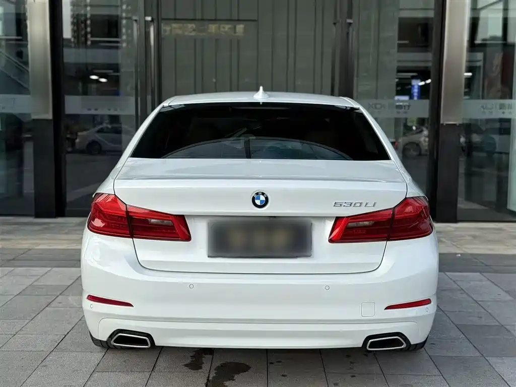 BMW 5 Series 2018 528Li Launch Special Edition фото 9