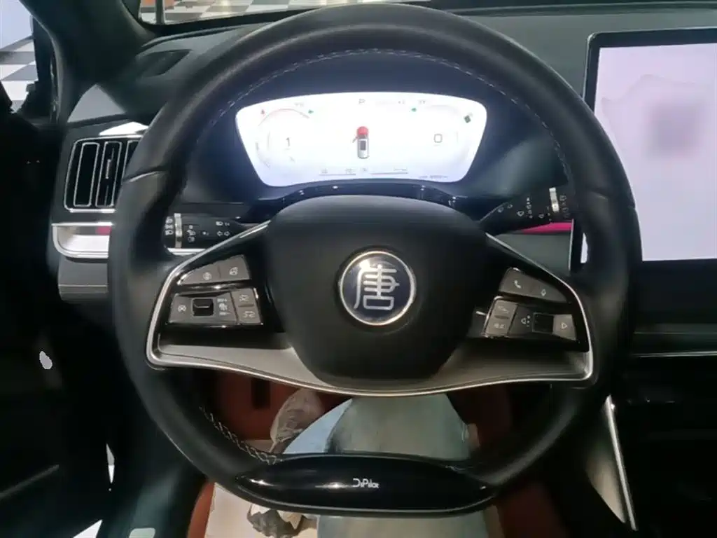 BYD Tang New Energy 2023 Model DM-i Champion Edition 112KM Honor фото 11