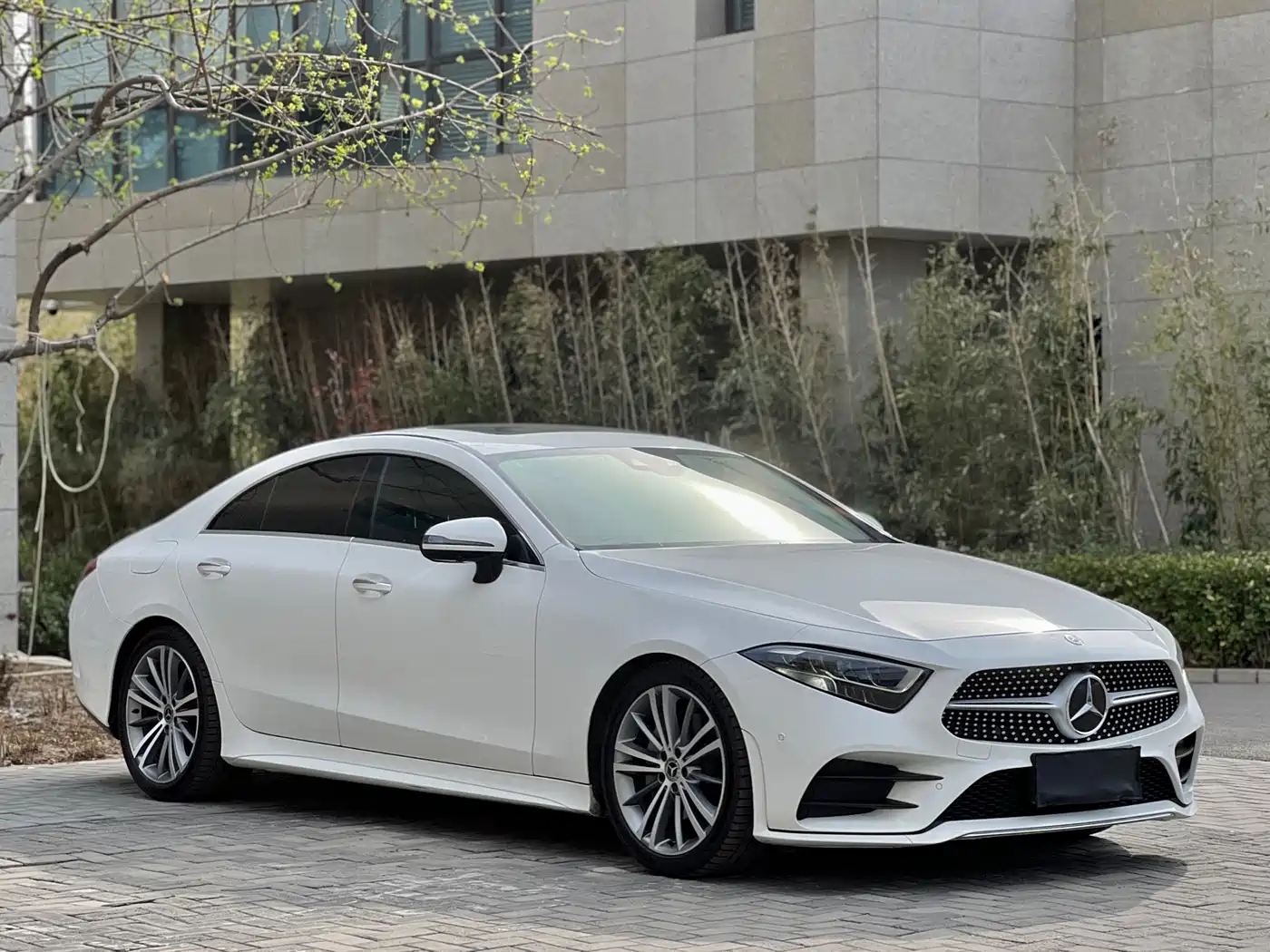 Mercedes-Benz CLS 2018 CLS 300 Luxury фото 3