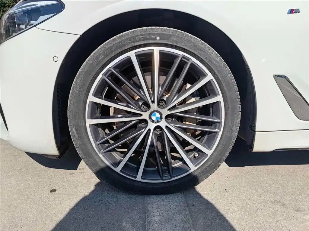 BMW 5 Series 2020 530Li Leading M Sport Package фото 16