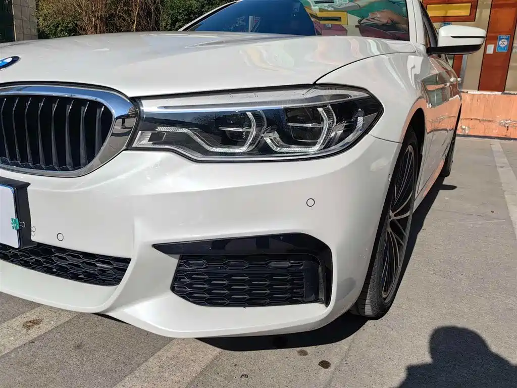 BMW 5 Series 2020 530Li Leading M Sport Package фото 4