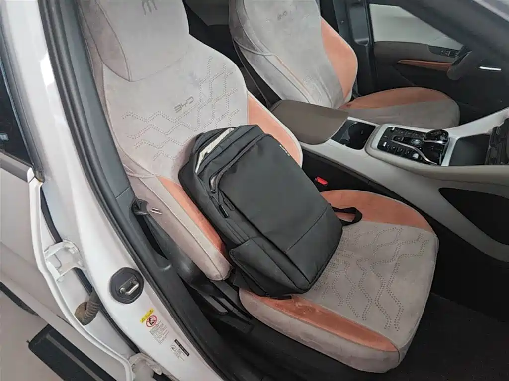 BYD Song Pro New Energy 2022 DM-i 51km Premium фото 25