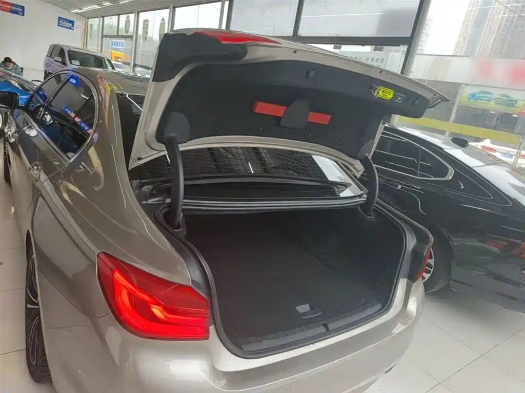BMW 5 Series New Energy 2019 530Le Luxury Package фото 19