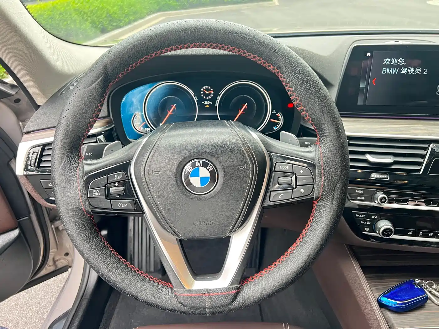 BMW 5 Series 2018 530Li Leading Luxury Package фото 37