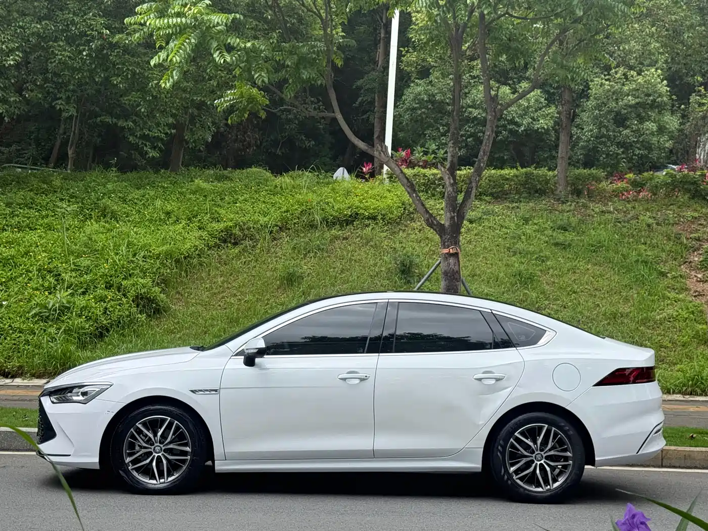 BYD Qin PLUS 2021 DM-i 55KM Flagship фото 4