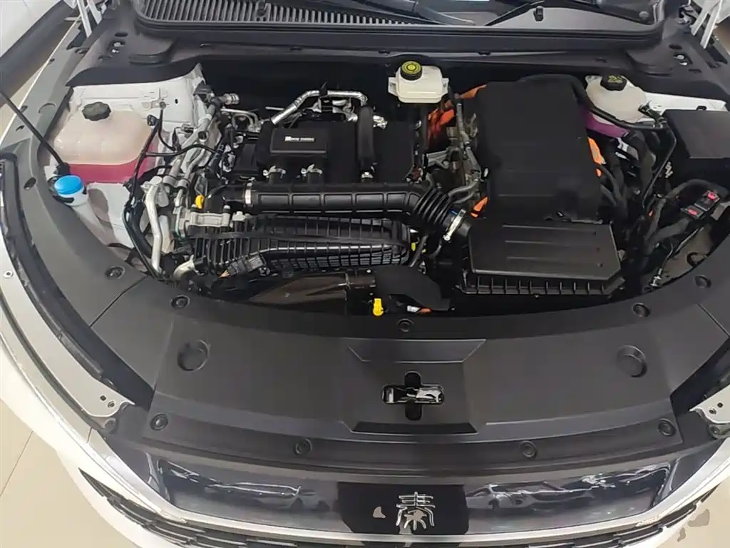 BYD Qin L 2024 DM-i 120KM Leading фото 20
