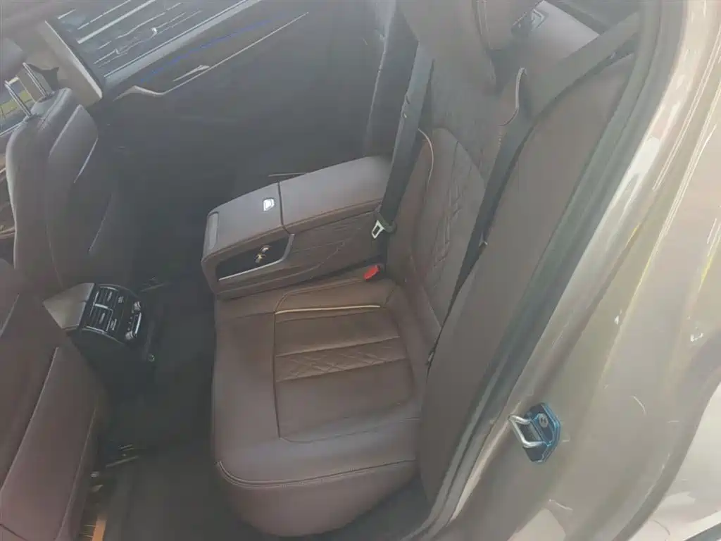 BMW 5 Series New Energy 2019 530Le Luxury Package фото 17