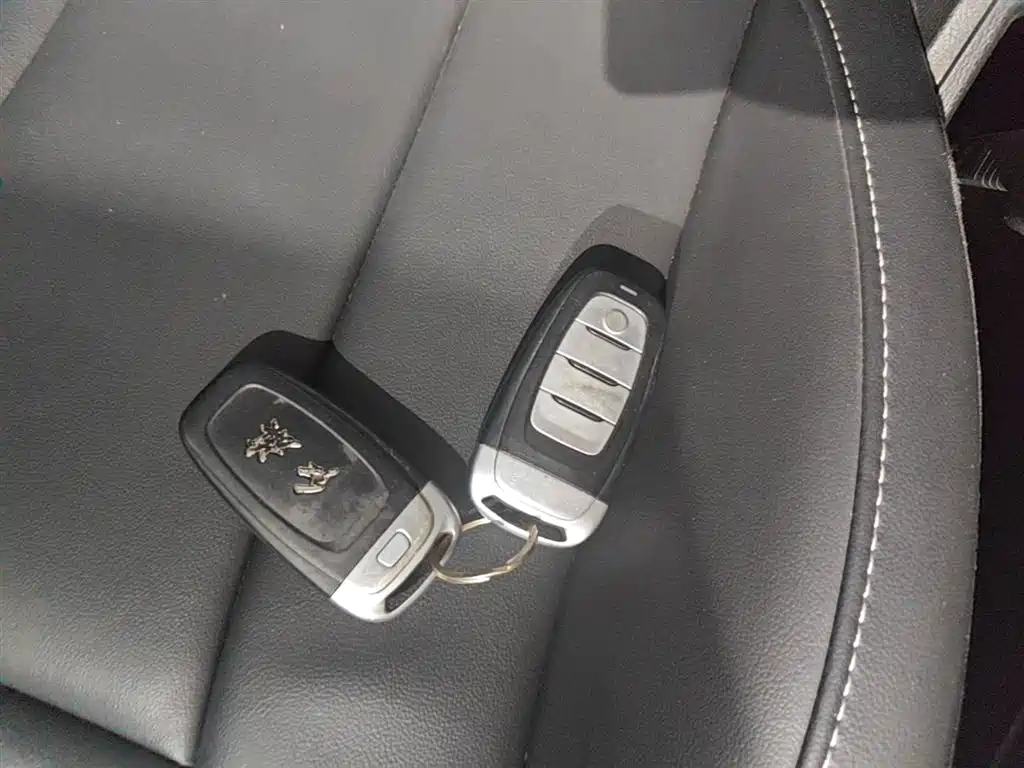 Hongqi H5 2019 30TD Style Edition фото 9
