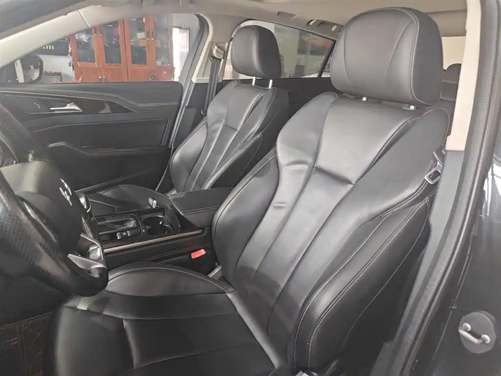 Hongqi H5 2019 30TD Style Edition фото 15