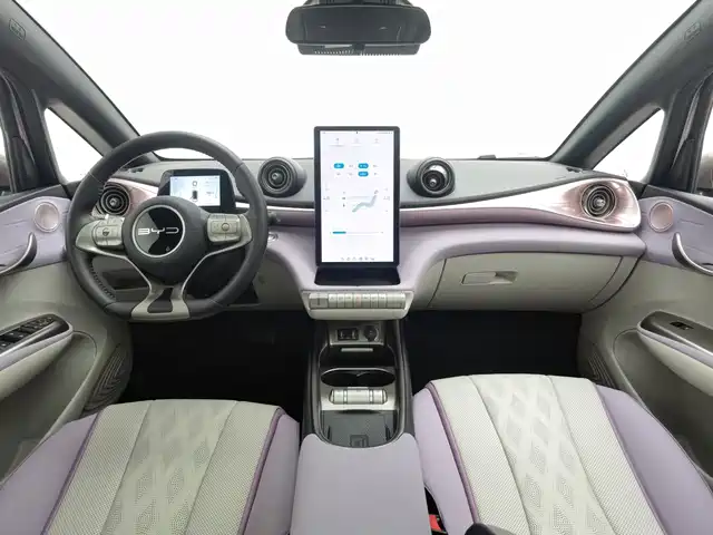 BYD Dolphin 2023 401km Knight Edition — фото 5
