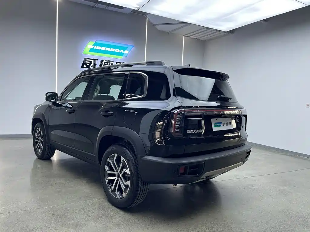 Фото 3 - Haval Dargo